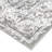 Oriental Indoor Rug-577719526