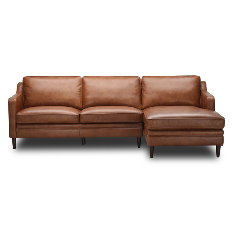 Ashtabula 2-pieces Leather sectional Sofa & Chaise
