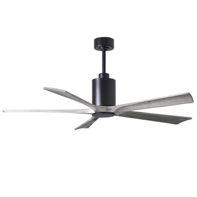Patricia 60'' Ceiling Fan with LED Lights