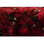 Tapis de bois one-of-kind à la main-noué la 2010 anatolian rouge 4 pi 10 po x 9 pi 9 po Ivy 