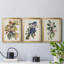 Pl 107 Canada Jay - ensemble de multiples reproductions d'art sur toile encadrées-1240465890-1240465891