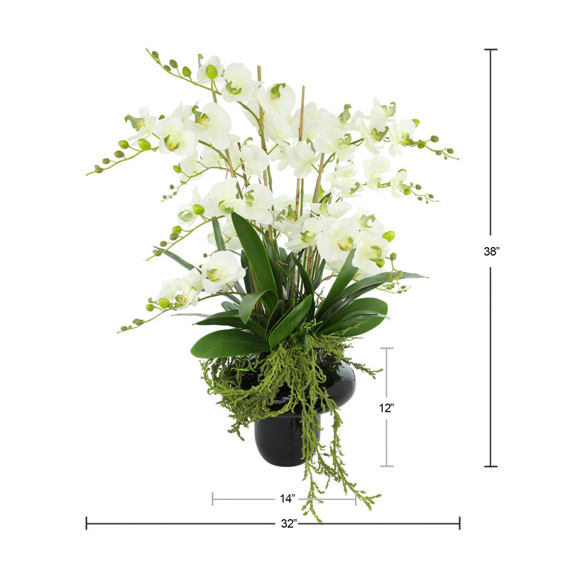 Orchids Arranged in Decorative Glass Vase