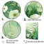 Green and White Seasons Symphony sur toile-555875298-555875309