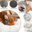 Lit pour animal de compagnie avec traversin