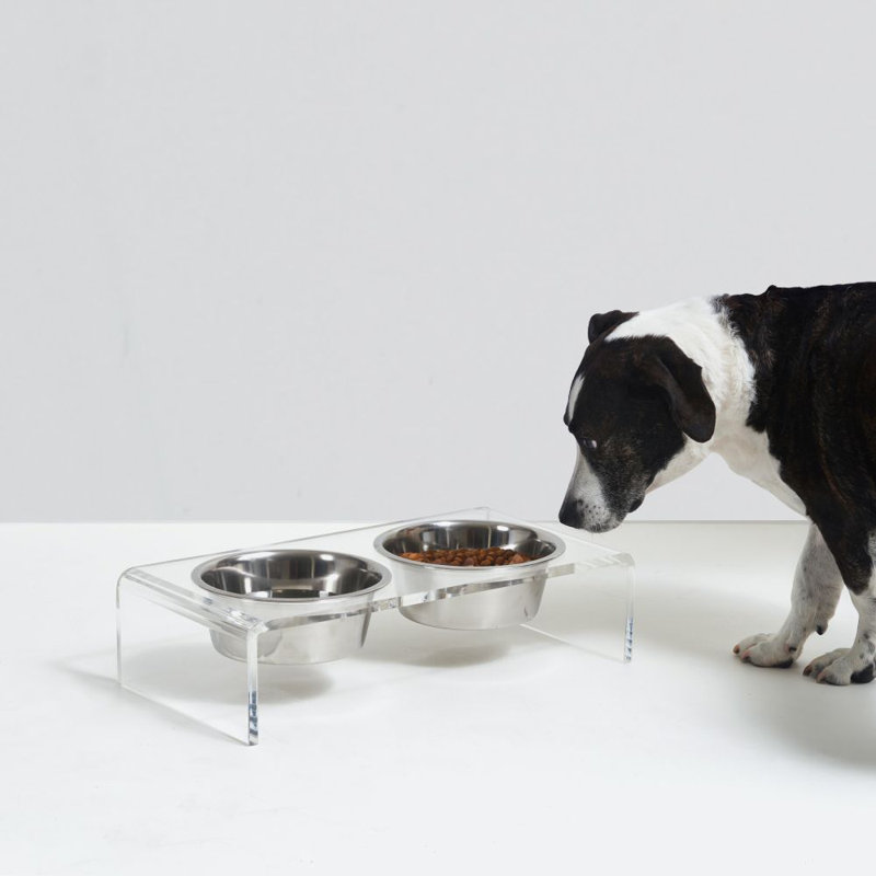 Small Clear Elevated Feeder with Gold Bowls, 3.5 cups, null