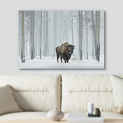Animaux, bisons d'hiver et arbres enneigés