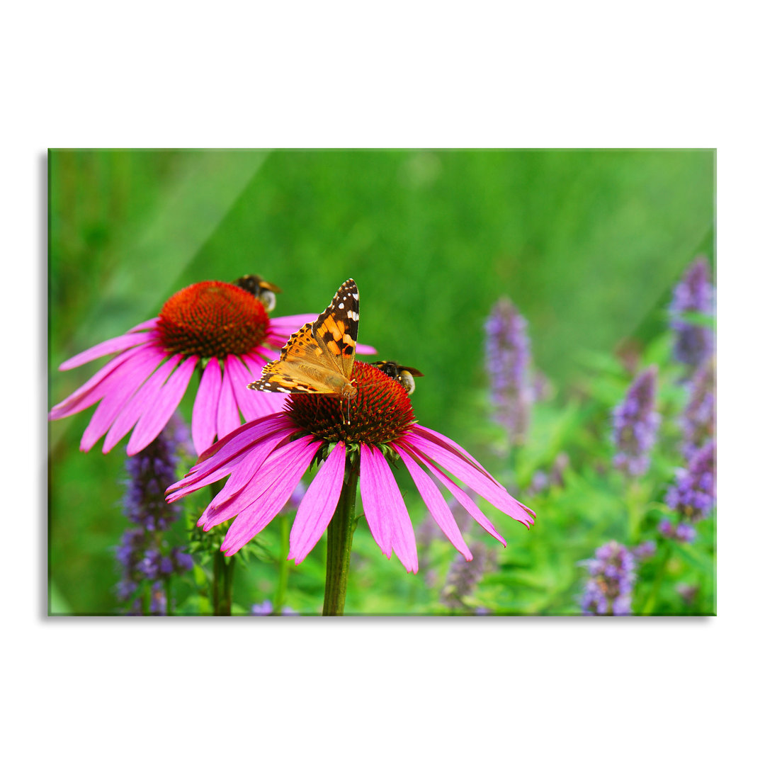 Glasbild Schmetterling auf Blüte