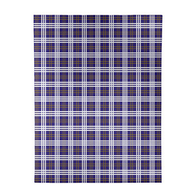 Plaid Indoor Rug