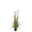 Faux Pampas Grass Grass in Pot-93756716