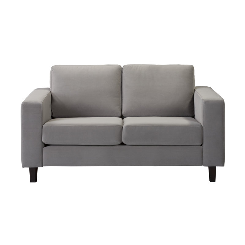Latanyia 2 Seater Sofa, Gray, Black