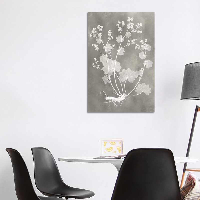 Herbarium Study I - Wrapped Canvas Painting, 101.6 cm H x 66.04 cm W x 1.91 cm D