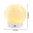 Winston Porter Ceramic Touch Lamp