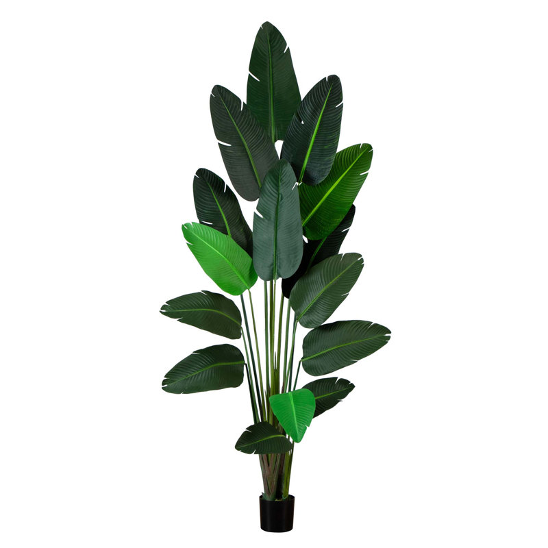 108 plantes