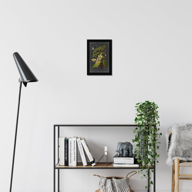 Midnight Botanical II by Vision Studio - Print, 50cm H x 34cm W, Black Framed Paper Print