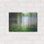 «Forest In Spring» par Marc Todd-1826160216