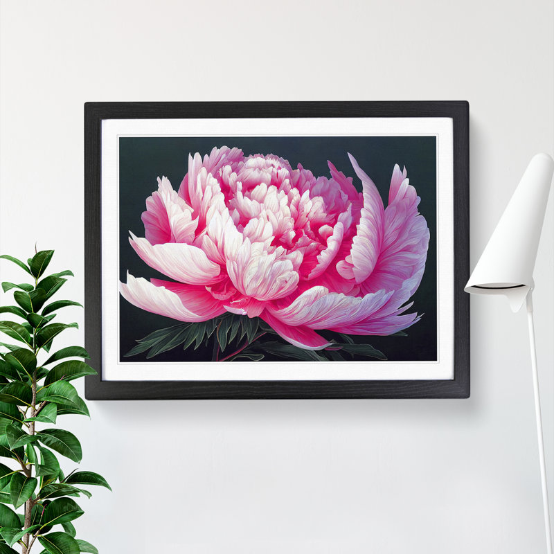 Idyllic Peony Flower - Single Picture Frame Print, Black, 46cm H x 64cm W x 2cm D