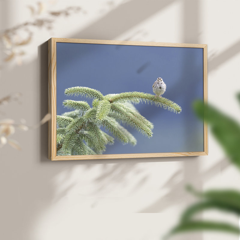 Evergreen Perch -Framed Print - Restickable, 8" H x 10" W, Natural