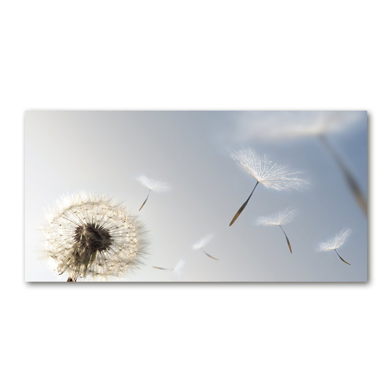 Dandelion - No Frame Print on Canvas