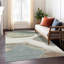Tapis abstrait lavable à la machine intérieur / extérieur ACN2571-709900227-709900231