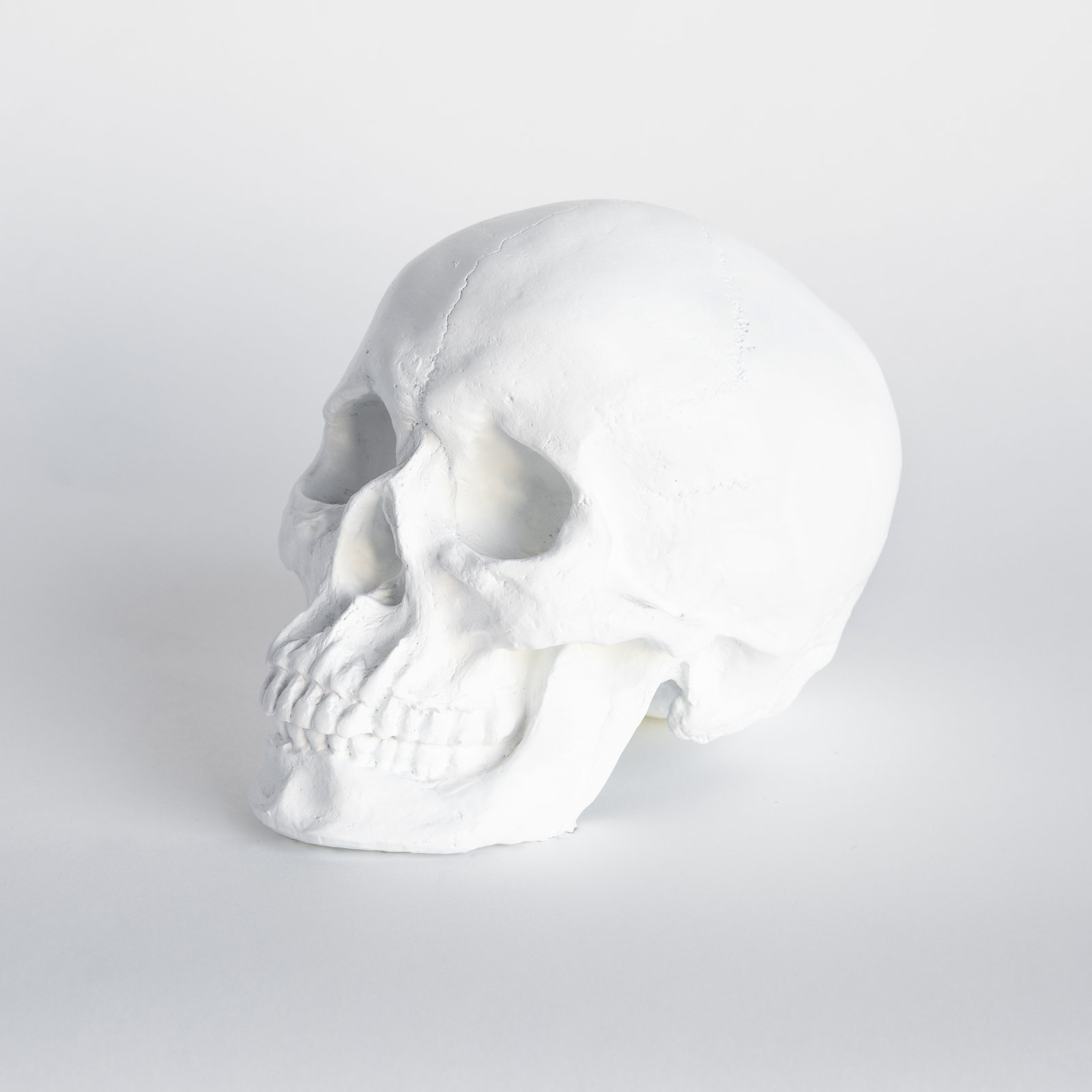 Muscogee Replica Faux Taxidermy Human Skull Figurine, White