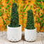 Ravn Planter