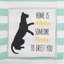 Ensemble de 2 pièces de linge vaisselle asst chat déco