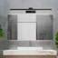 LED Vanity Light