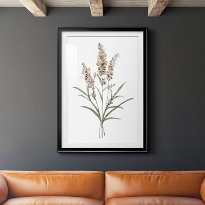 " Dainty Botanical I " Painting Print