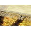 One-of-a-Kind 3’10x6’ Hand Knotted Area Rug