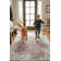 Leinani Oriental Indoor Rug