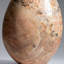 Genuine Polished Peach Moonstone Freeform from Madagascar (3.3 Lbs)-1351379939-1577217509