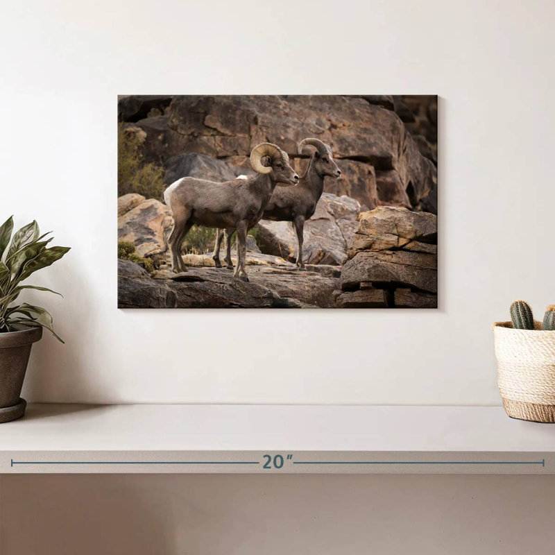 Bighorn Sheep Couple, 8" H x 12" W