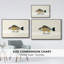 Collection de poissons tropicaux III, reproduction sur toile encadrée-94354249-94354250