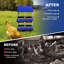 Nesting Boxes-1968253581-1968253583