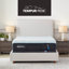 TEMPUR-ProAdapt® Soft 12" Mattress-891348910