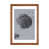 Framed Paper sélectionné