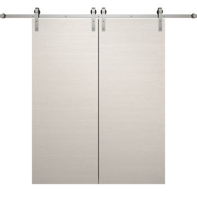 Porte de grange double moderne | Ego 5000 | Ensemble de rail argenté | Portes intérieures solides