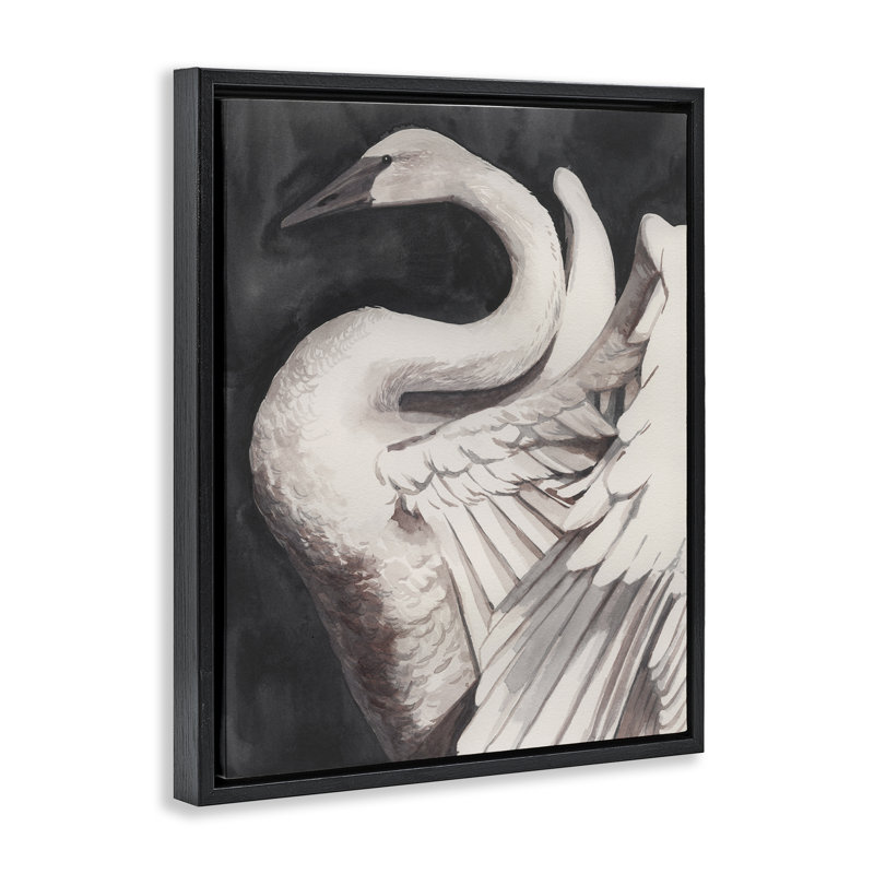  «Swan Spread Wings», art mural encadré flottant par Grace Popp, Cadre flottant noir de jais, H 21 po x l 17 po