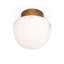 Parker 1 - Light Flush Mount-79008911