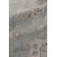 Museum Oriental Area Rug-25698463