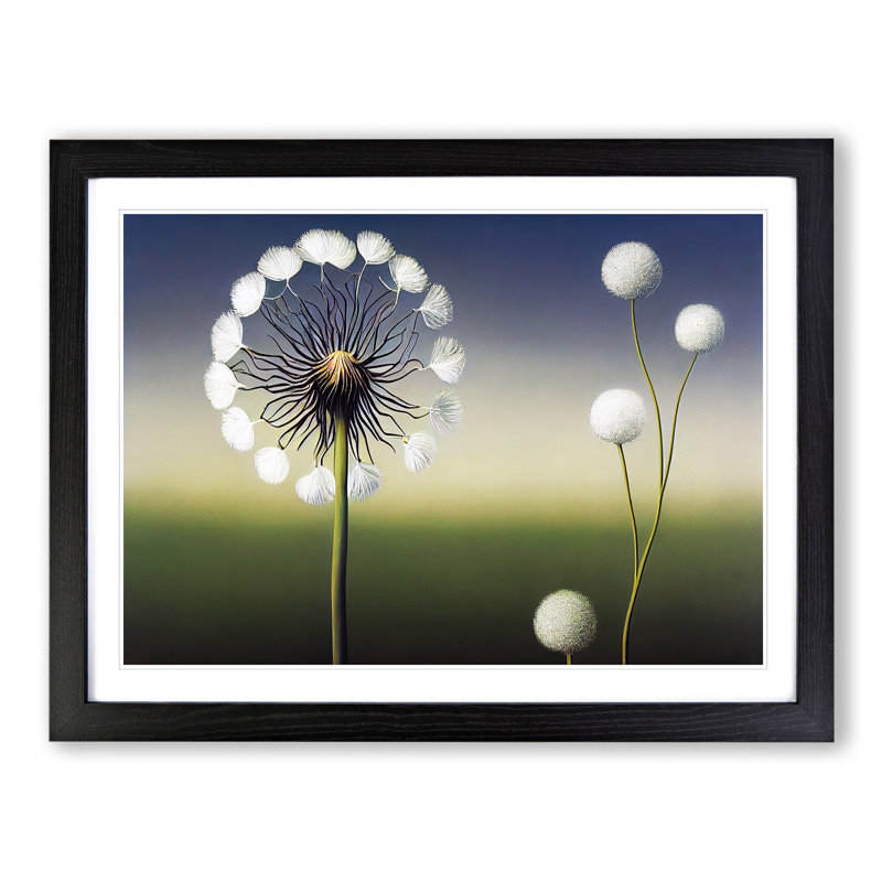 Stunning Dandelion Flowers - Single Picture Frame Print, 46cm H x 64cm W x 2cm D, Black