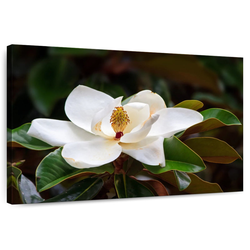 Fleur de magnolia Harnek Southern, H 34 po x l 51 po