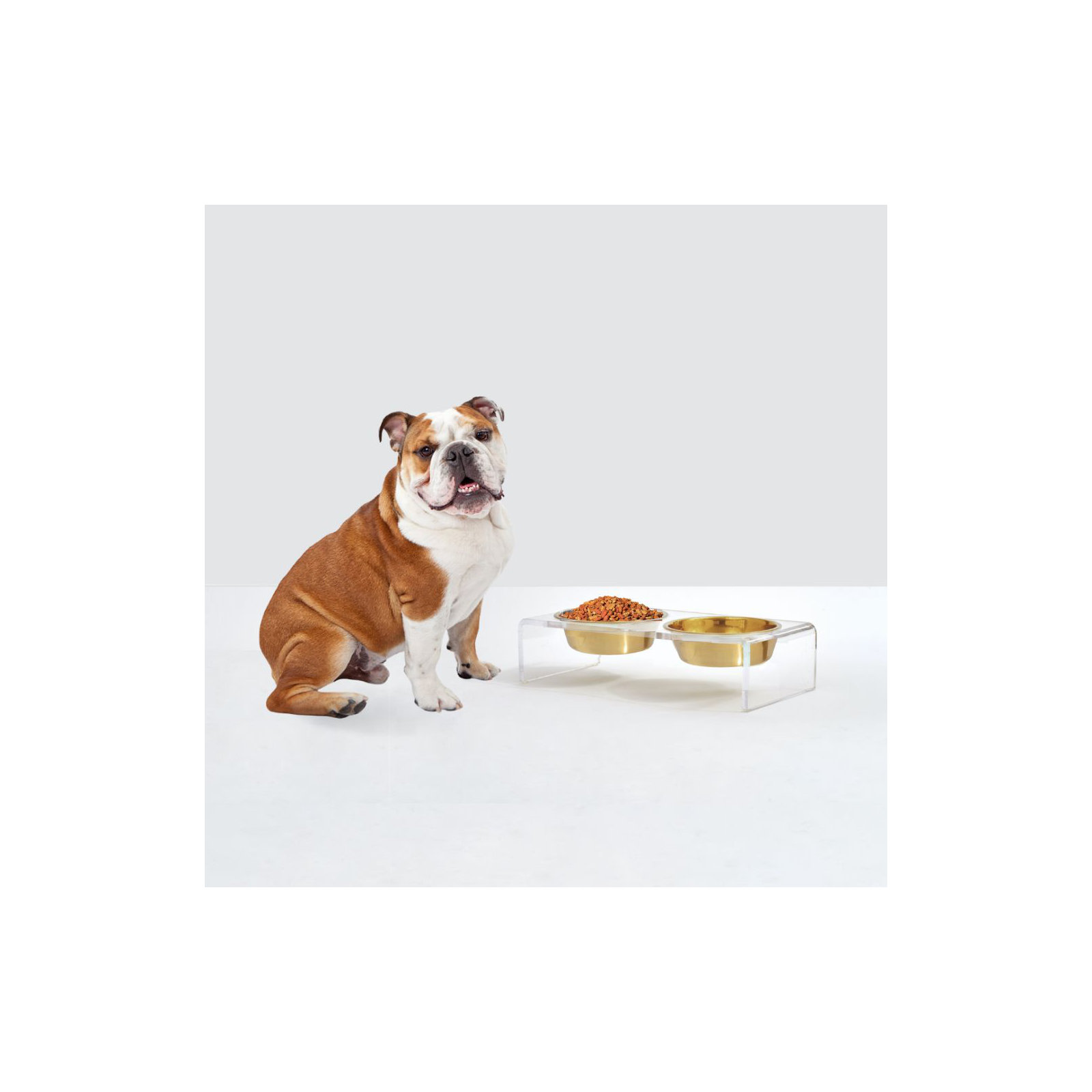 Small Clear Elevated Feeder with Gold Bowls, 1.5 cups