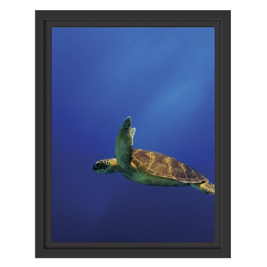 Gerahmtes Wandbild SchildkröteMeer