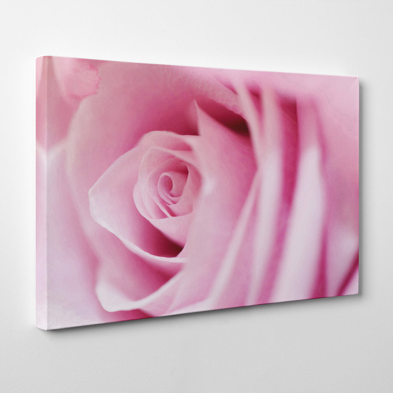 Flower Pink Rose Photographic - Wrapped Canvas, 35cm H x 50cm W