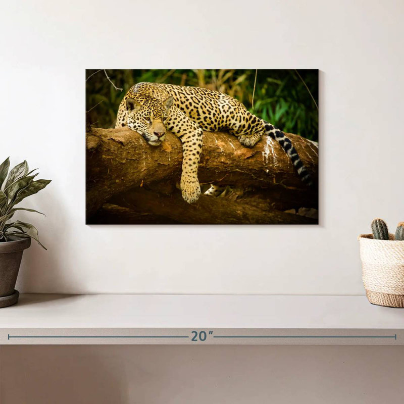 Brampt Pantanal Jaguar, H 8 po x l 12 po