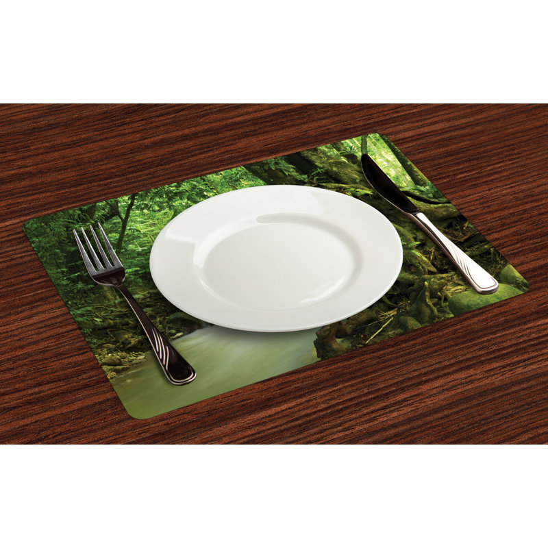 Récapitulatif 18,5" rainforest