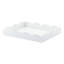 Lacquer Decorative Tray-984210886