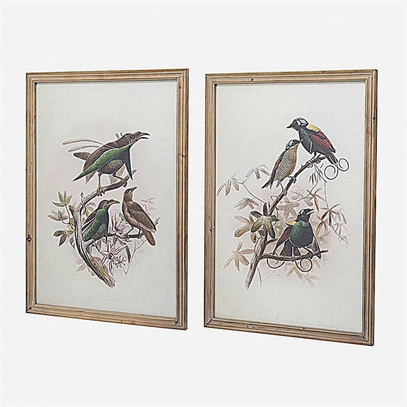 S/2 Bird Framed Print, 19.5x27.5"