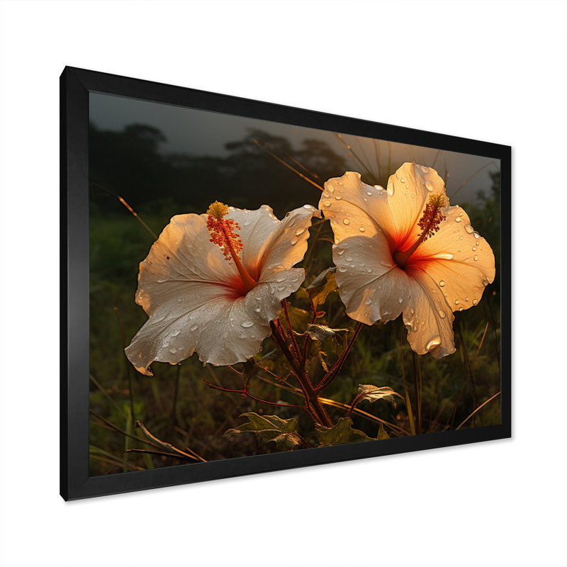 Hibiscus Field With Sunset II - Floral Canvas Art Print, H 30 po x l 40 po x P 1,5 po, Cadre photo noir